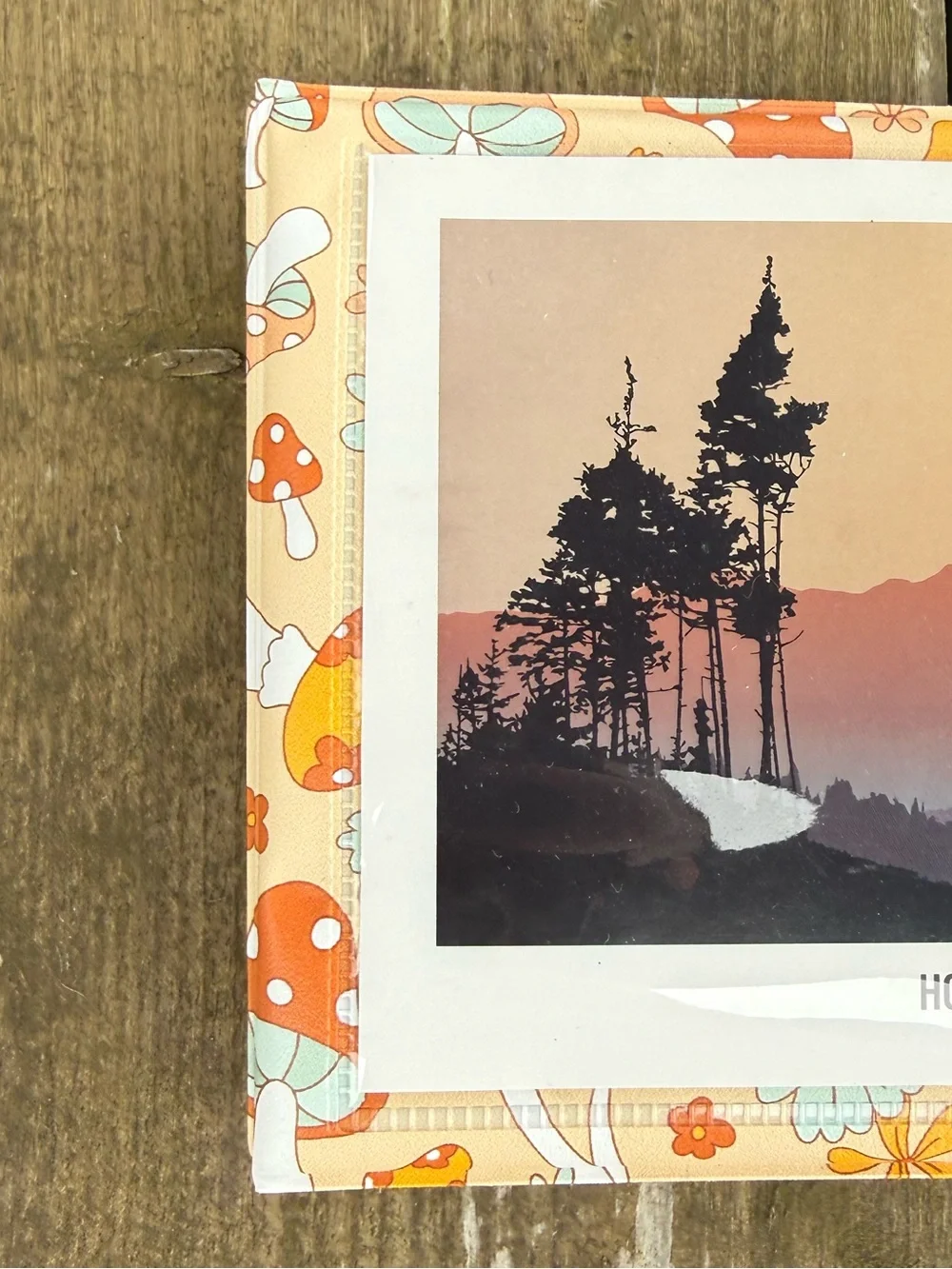 Kensie Colorful Mushroom 4 Inch by 6 Inch Photo Album - Picture 6 of 15